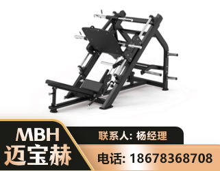 衡阳45°倒蹬训练器