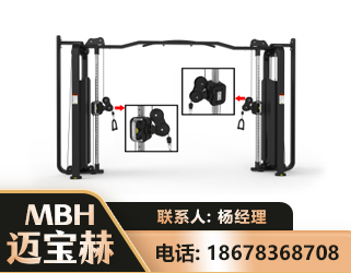 衡阳大飞鸟训练器
