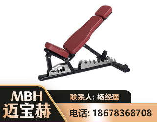 衡阳可调哑铃椅